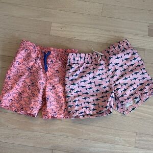 Pink Shark Print Swim Shorts Set